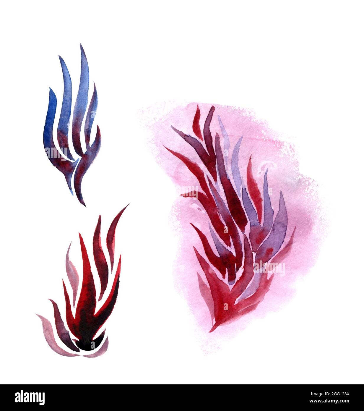 Aquarell Clipart von Blättern und Zweigen von Estragon. Stockfoto