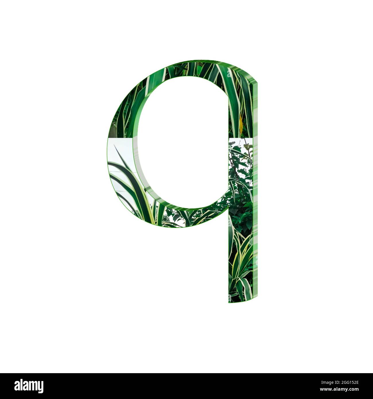Grüne Textur kleinen Buchstaben q Bunte 3D abstrakt schönen weißen Hintergrund Stockfoto