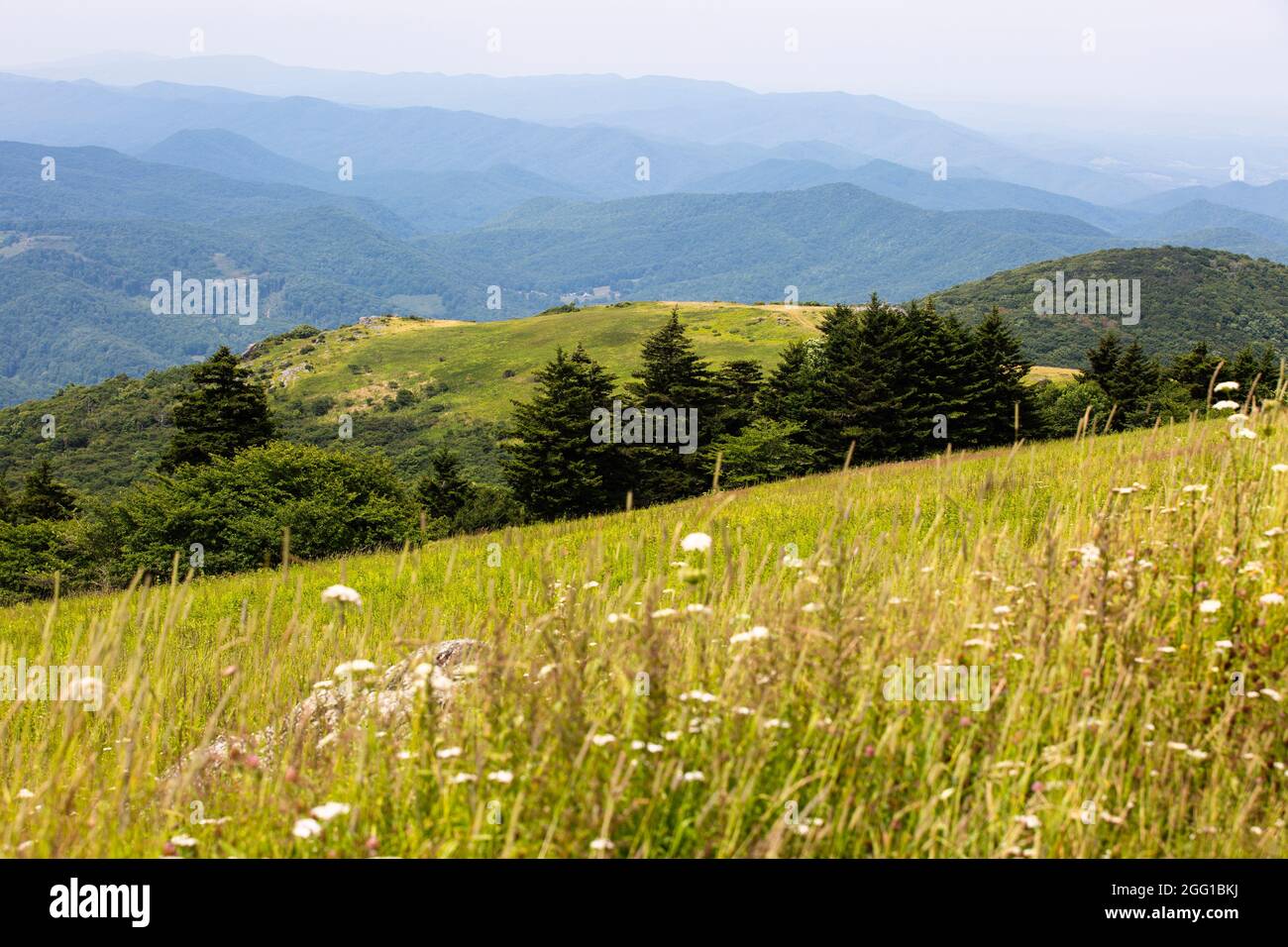 Blick vom Whitetop Mountain in den Appalachian Mountains in Virginia Stockfoto