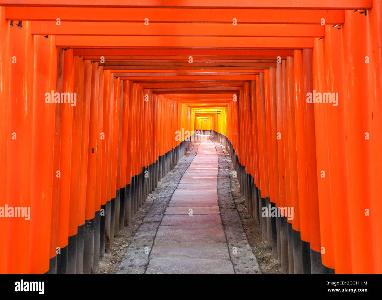 Die berühmten orangefarbenen Torii Gates IT Fushimi Inari-taisha Kyoto sind eines der berühmtesten Reiseziele Japans. Stockfoto