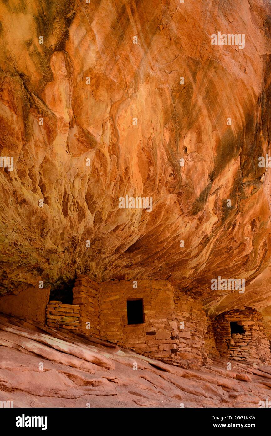 House on Fire, Puebloan Cliff Wohnung in Mule Canyon auf Cedar Mesa. Stockfoto
