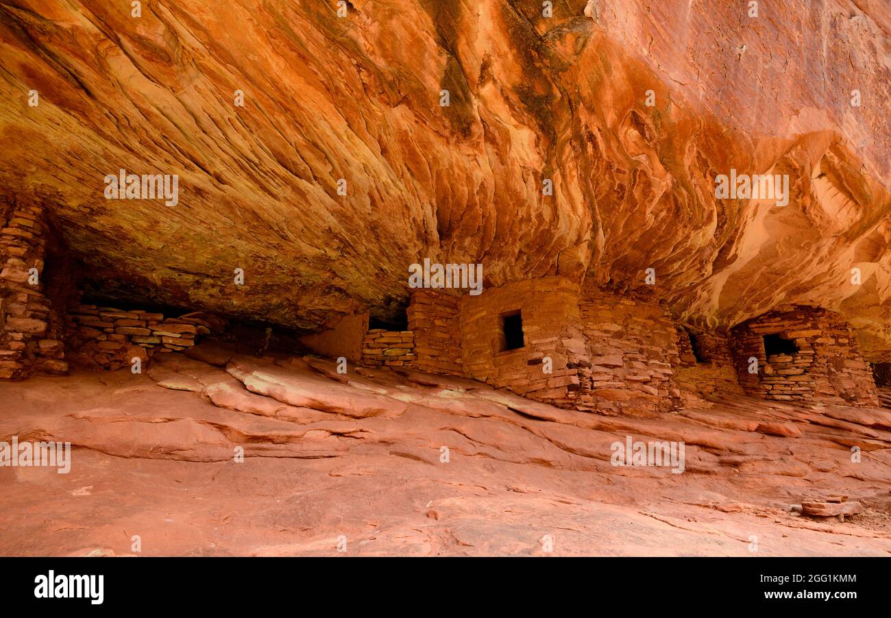 House on Fire, Puebloan Cliff Wohnung in Mule Canyon auf Cedar Mesa. Stockfoto
