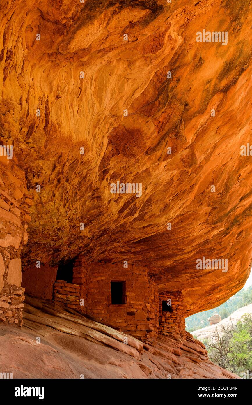 House on Fire, Puebloan Cliff Wohnung in Mule Canyon auf Cedar Mesa. Stockfoto