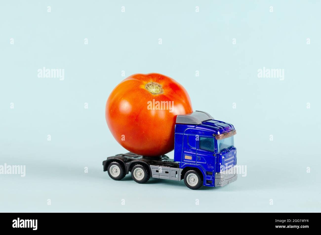 Spielzeug-Traktor transportiert ein Gemüse. Blauer Plastikwagen und eine reife rote Tomate. Blauer Hintergrund. Lkw-Transport. Selektiver Fokus. Stockfoto