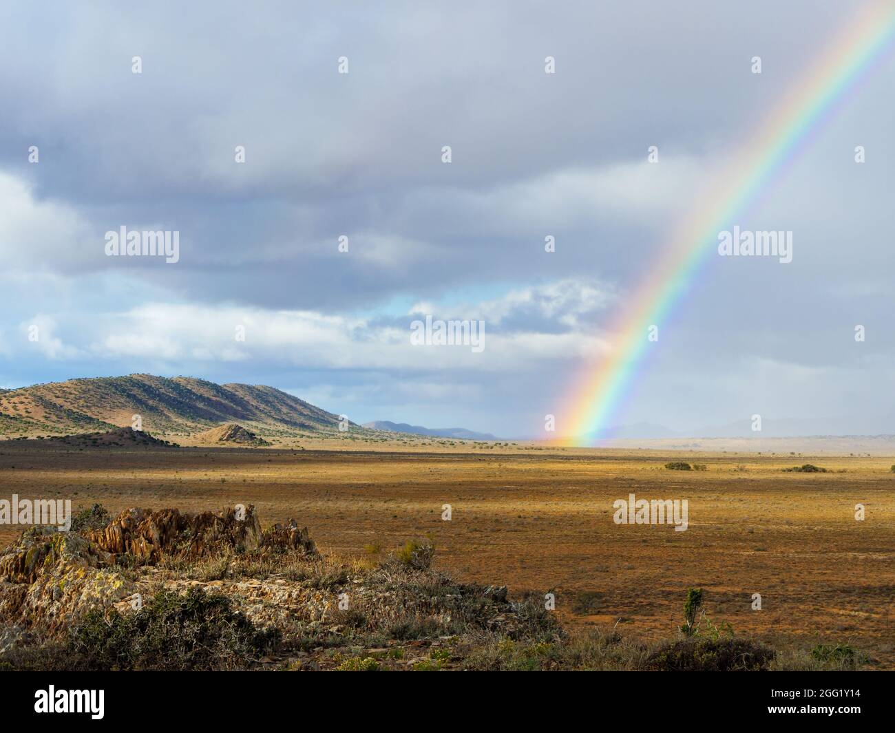 Steytlerville, Bezirk Sarah Baartman. Ostkap. Südafrika Stockfoto