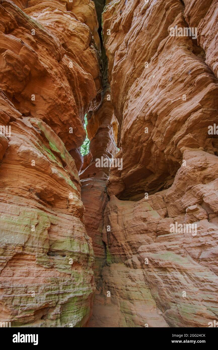 Nahaufnahme der roten Sandsteinfelsen-Formation Altschloss-Felsen, Deutschland Stockfoto