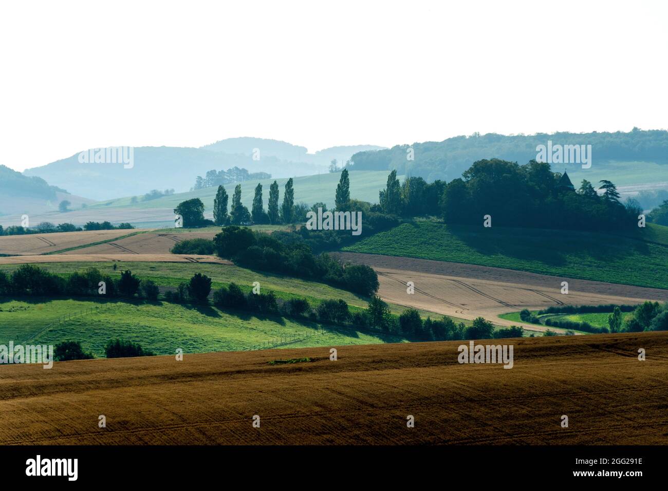 Blick auf die Auvergne Toskana im zentralen Teil der Limagne-Ebene, Puy de Dome, Auvergne Rhone Alpes, Frankreich Stockfoto
