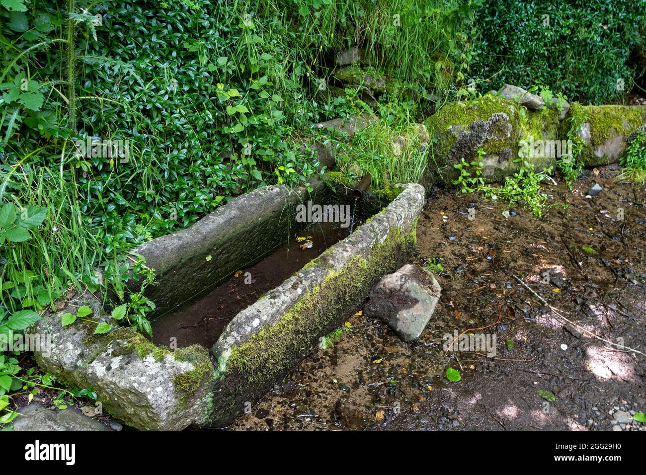Chastreix-Dorf. Auvergne-Vulkan-Naturpark. Ein alter Trunkenheitstrog von Orbevialle. Puy de Dome. Auvergne Rhone Alpes. Frankreich Stockfoto