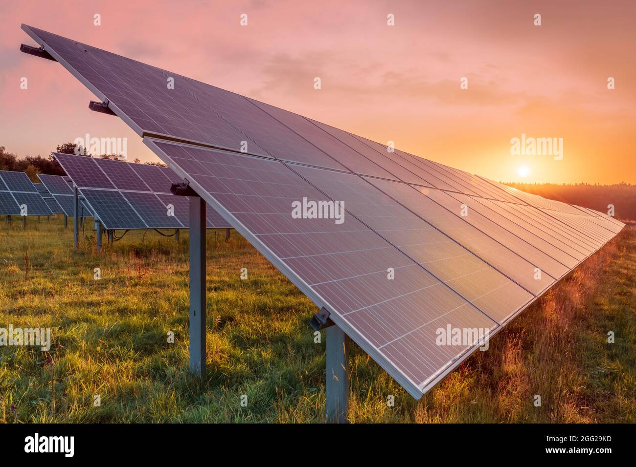 Die Sonne geht im Spätsommer bei Sonnenaufgang über einer Reihe von Photovoltaikmodulen in einem Devon-Feld auf. Stockfoto