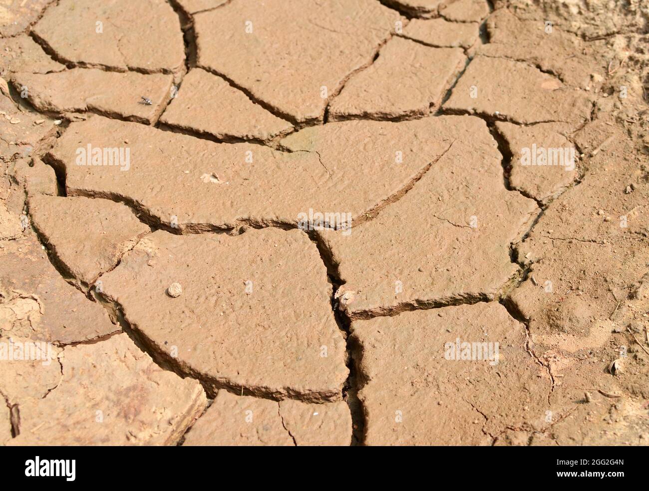 Trockener See im Prozess der Trockenheit und Mangel an Regen oder Feuchtigkeit. Globale Naturkatastrophe. Der durch den Klimawandel gerissene Boden der Erde. Hydrolo Stockfoto