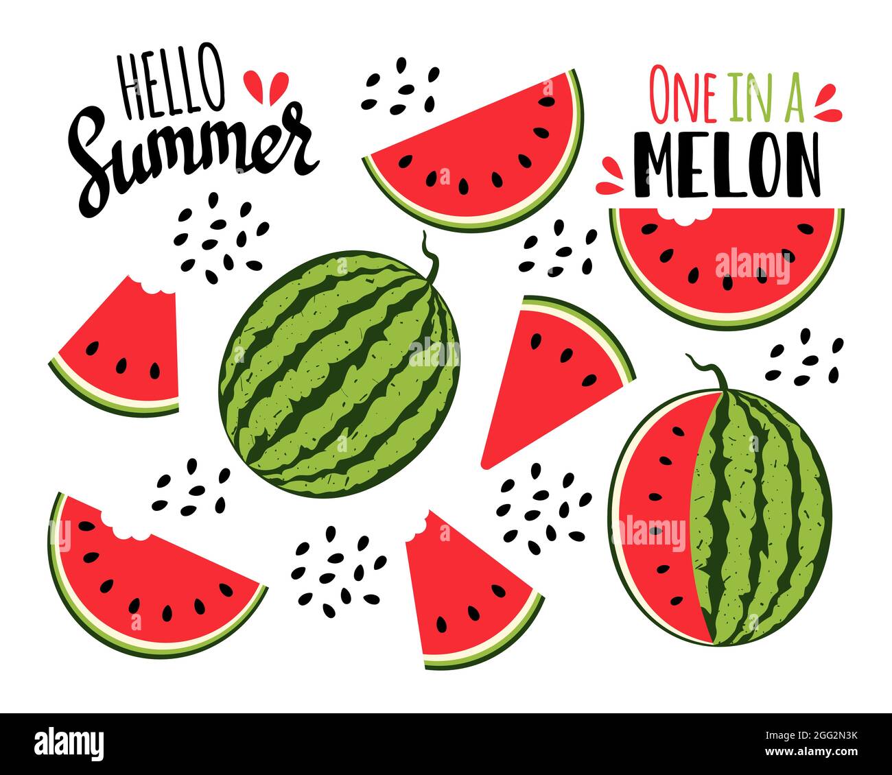 Wassermelone-Kollektion. Wassermelonenscheiben und Samen. Vektorgrafik. Stock Vektor