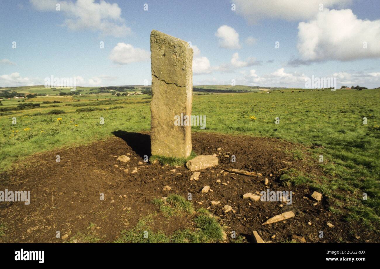 Der Breastagh Ogham Stone mit seinen frühen mittelalterlichen Inschriften befindet sich in der Mitte einer Kuhkiste. Manchmal hält ein Schild mit der Aufschrift „Vorsicht vor dem Stier“ Besucher auf dem Laufenden Stockfoto
