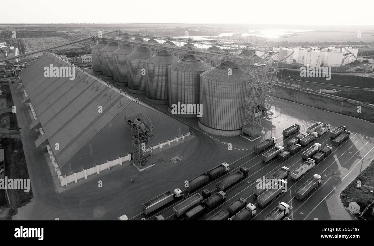 Getreideterminals des modernen Handelshafens. Silos zur Lagerung von Getreide in Strahlen der untergehenden Sonne. In Port h warten viele LKWs auf das Entladen Stockfoto