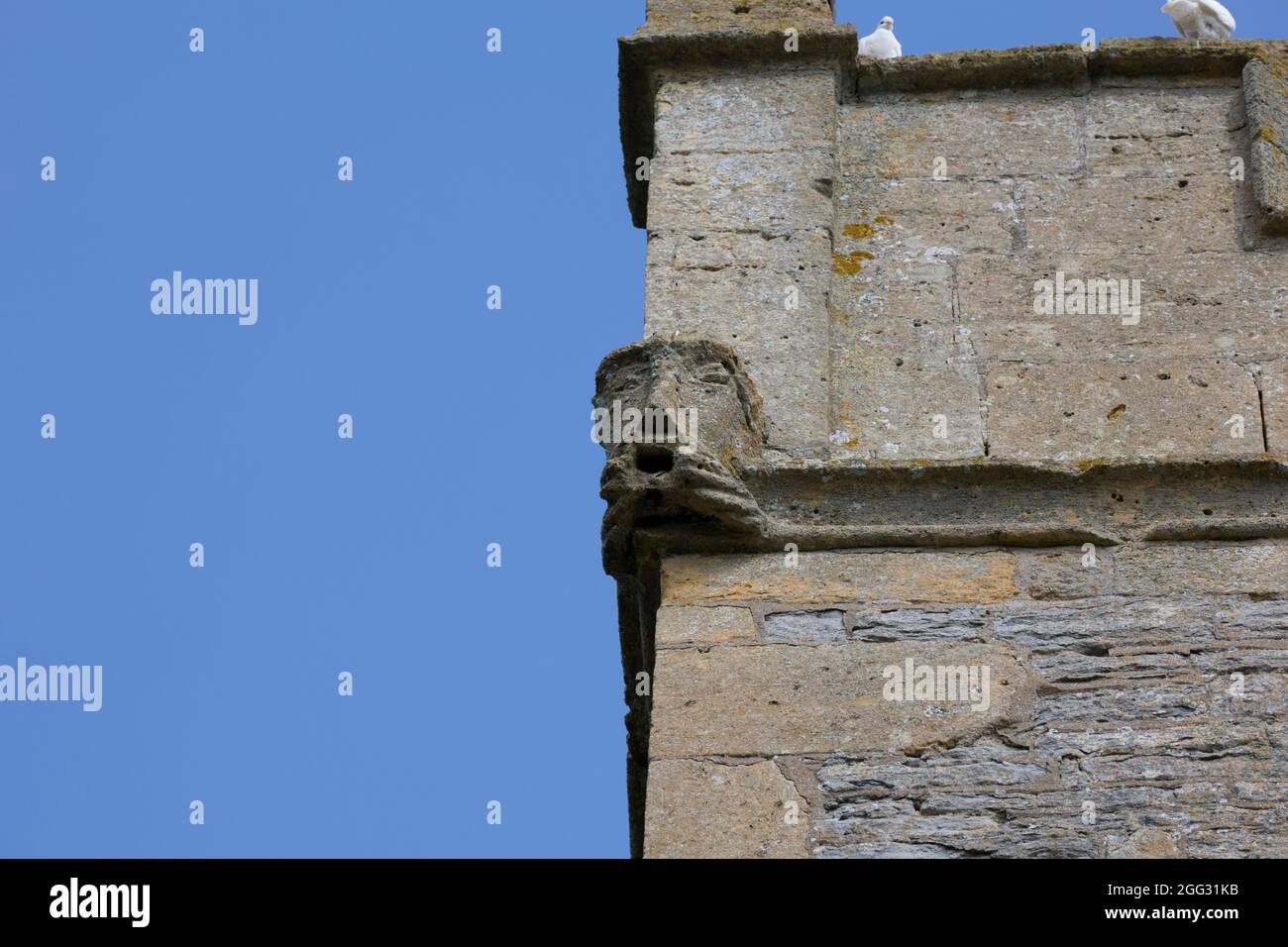 Wasserspeier auf St. Nichola Episcopal mittelalterlichen Kirchturm Middle Littleton aus Blue lias Stein aus dem 12. Jahrhundert erbaut, umgebaut 13. Jahrhundert Stockfoto