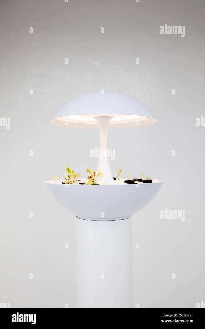 Folkestone Triennale 2021 „Climate Emergency Services“ von Mike Stubbs Stockfoto