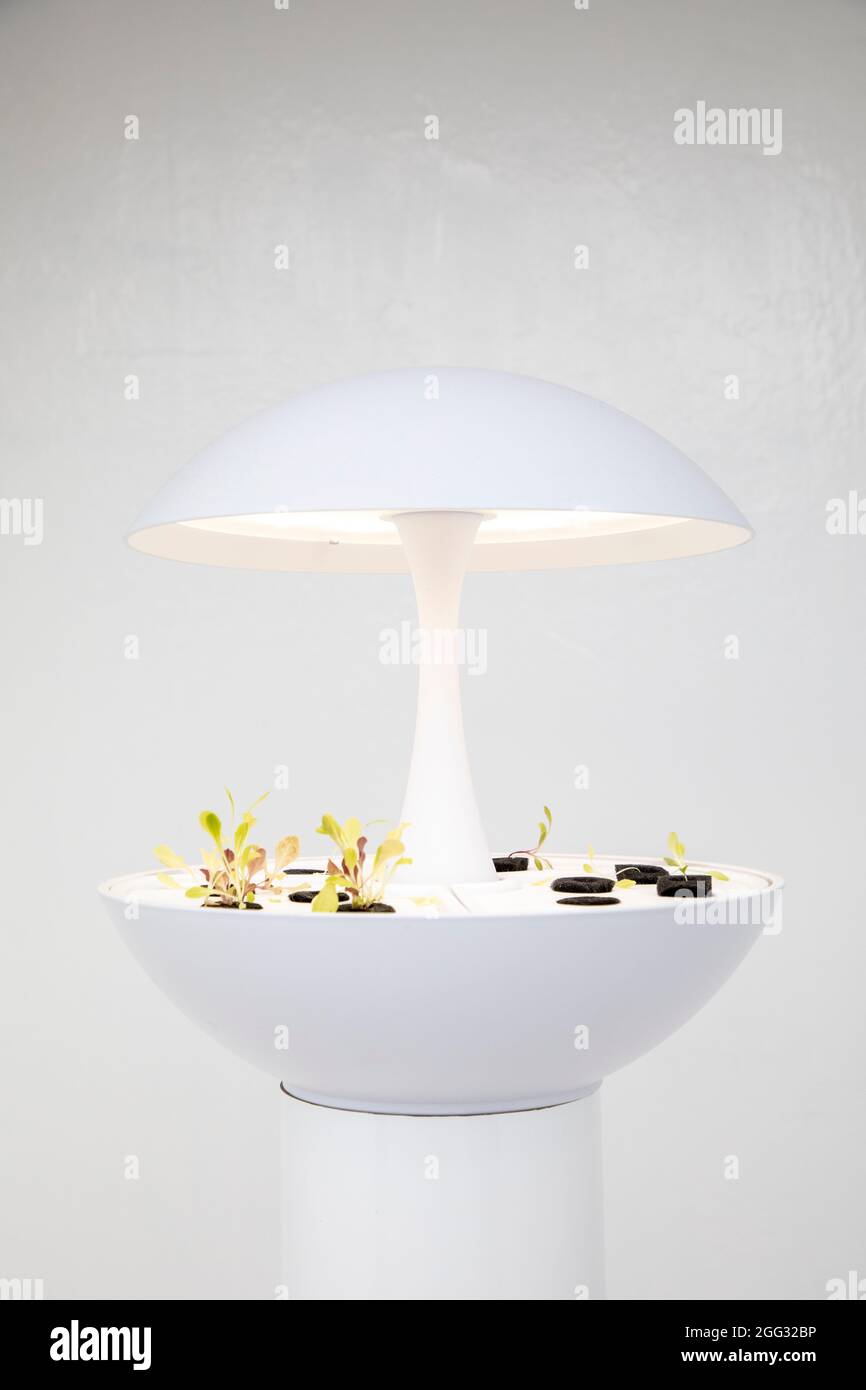 Folkestone Triennale 2021 „Climate Emergency Services“ von Mike Stubbs Stockfoto