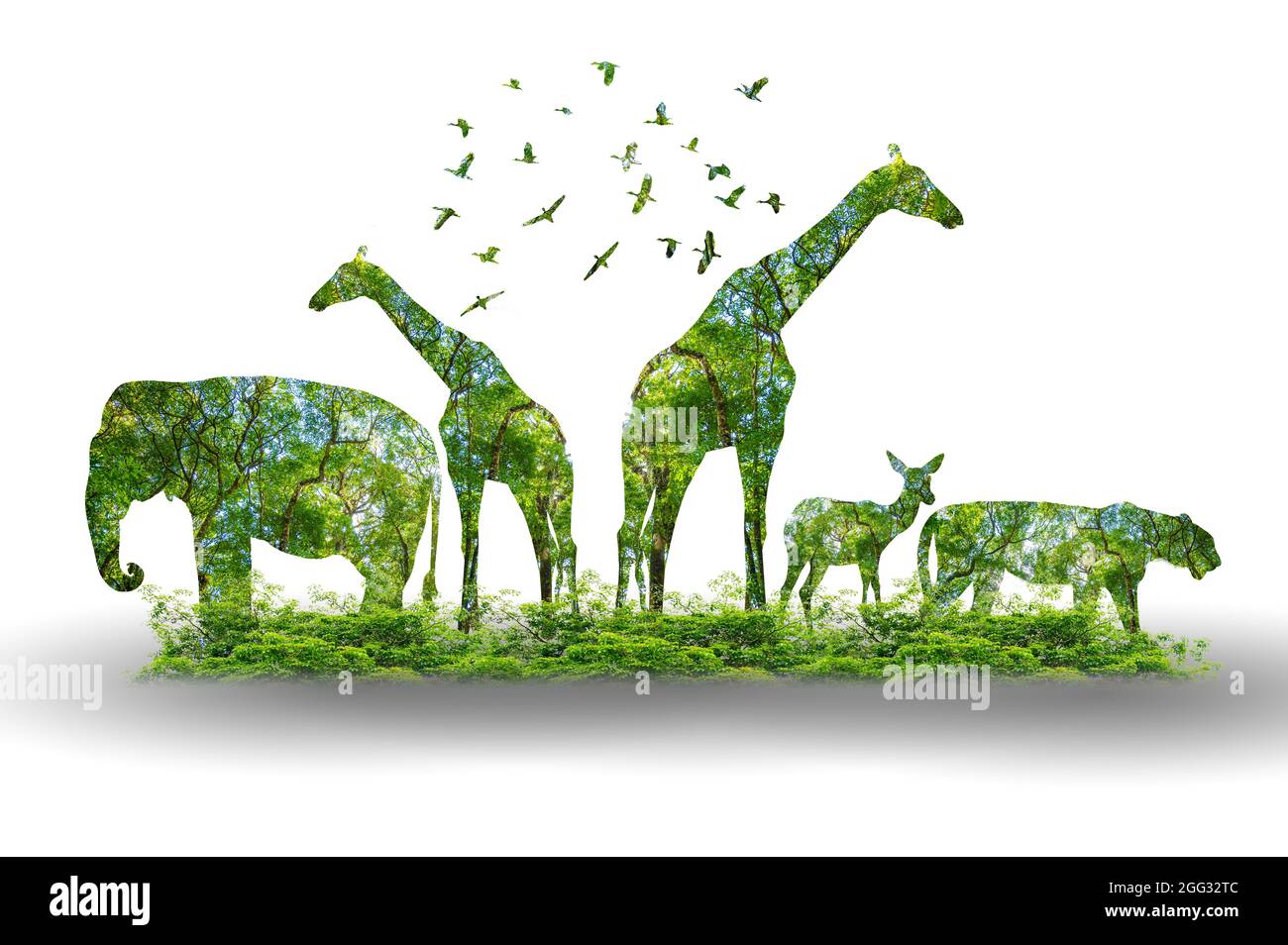 Wald Silhouette in Form einer wilden Tier Tierwelt und Waldschutz Konzept Stockfoto