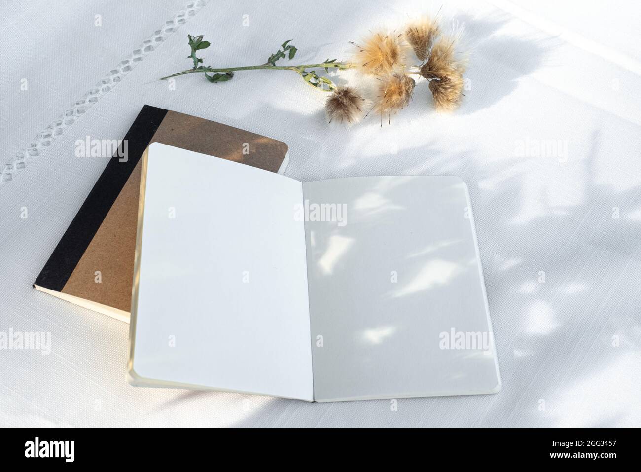 Leeres Buch im Sonnenlicht geöffnet. Tagebuch-Mockup auf Leinentischtuch-Hintergrund, lange Schatten auf leeren Seiten. Sommer Hochzeit Schreibwaren Stillleben Szene. Stockfoto