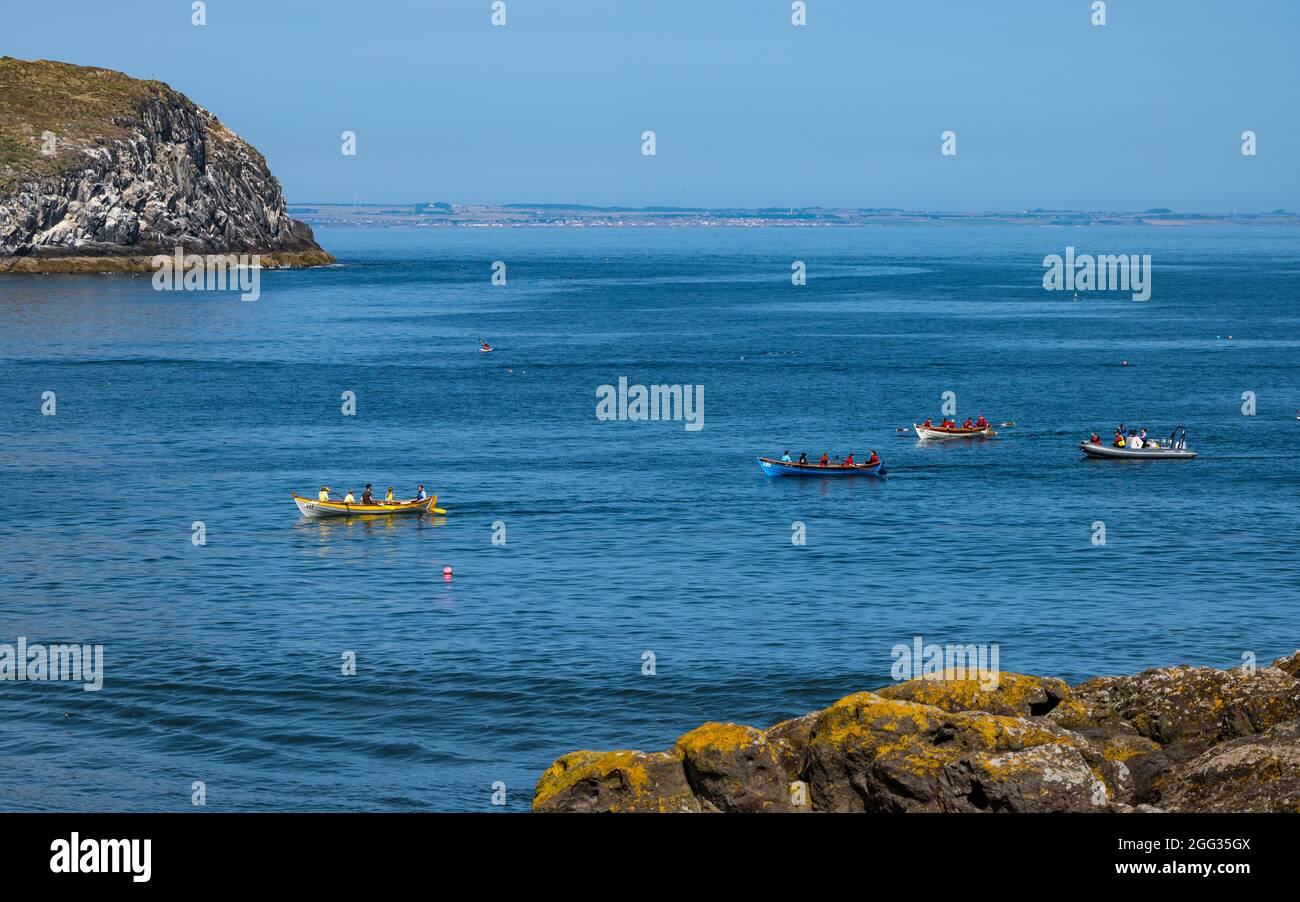 North Berwick, East Lothian, Schottland, Großbritannien, 28. August 2021. UK Wetter: Wassersport. Die Küstenstadt ist voll mit Menschen, die an einem sonnigen und heißen Feiertagswochenende das Meer und Wassersport genießen. Im Bild: Crews aus den Ruderclubs an der Küste treten bei einer Regatta an Stockfoto