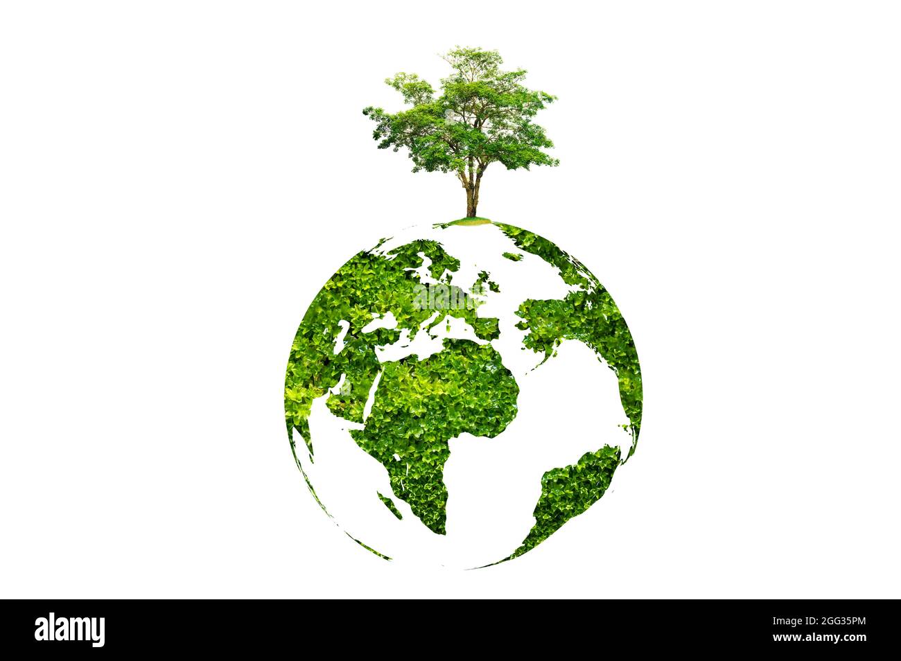 Erdtagesbaum auf grüner Erde auf weißem isolierter Hintergrund Stockfoto