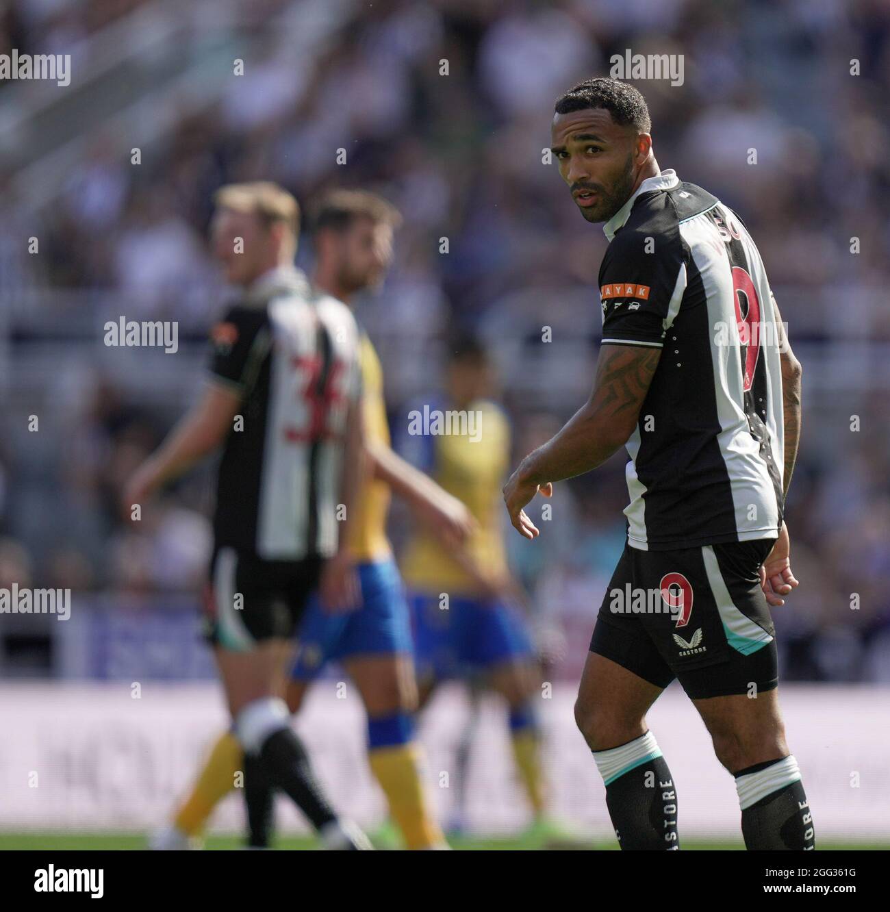 28. August 2021; St James Park, Newcastle upon Tyne, England; EPL Premier League Football, Newcastle United gegen Southampton; Callum Wilson von Newcastle United blickt zurück, nachdem er einen Schuss weit geschossen hat Credit: Action Plus Sports Images/Alamy Live News Stockfoto