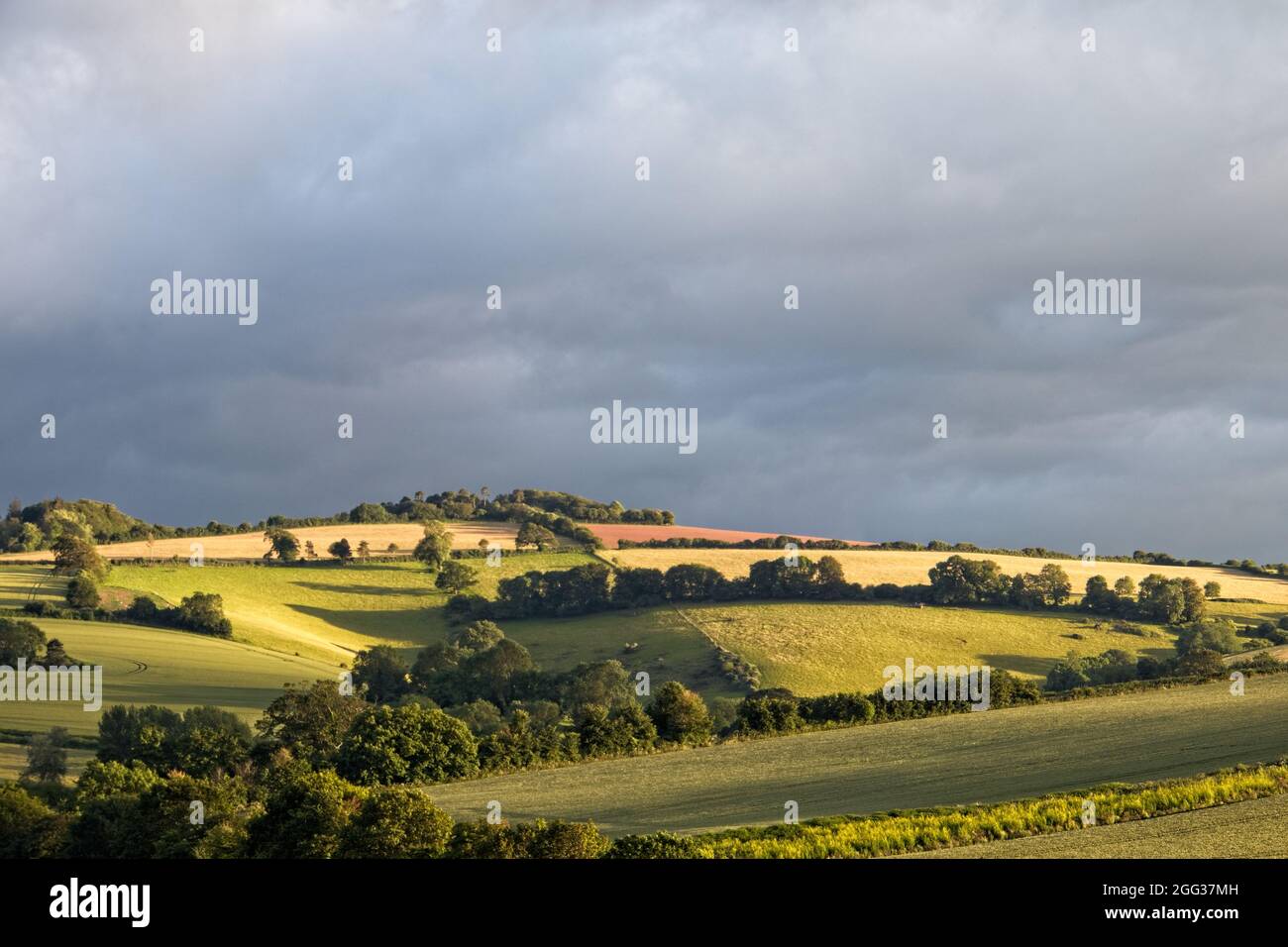 Ein Blick auf rollendes englisches Ackerland im niedrigen Abendlicht mit einem stark bewölkten grauen Himmel. Strahlender Sonnenschein auf den Feldern. Stockfoto