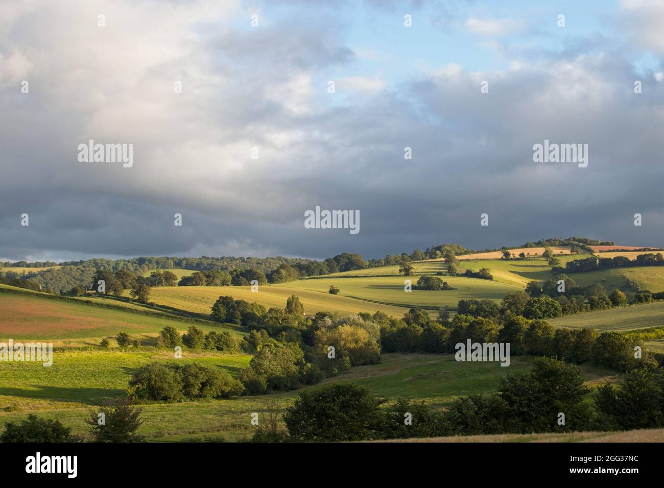 Ein Blick auf rollendes englisches Ackerland im niedrigen Abendlicht mit einem stark bewölkten grauen Himmel. Strahlender Sonnenschein auf den Feldern. Stockfoto