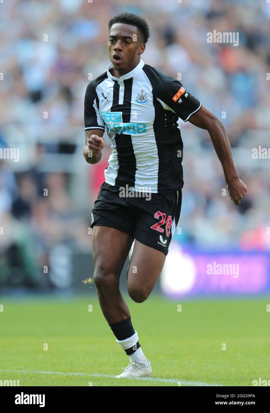 JOE WILLOCK, NEWCASTLE UNITED FC, 2021 Stockfoto