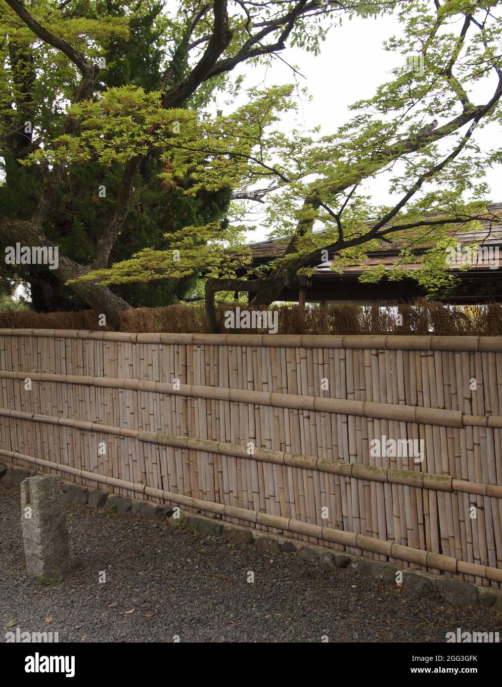 Bambuszaun in einem traditionellen Kyoto-Garten Stockfoto