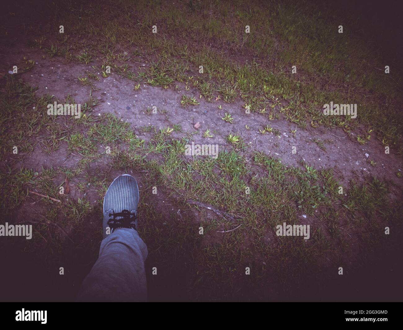 Füße in Schuhen auf grünem Gras Stockfoto