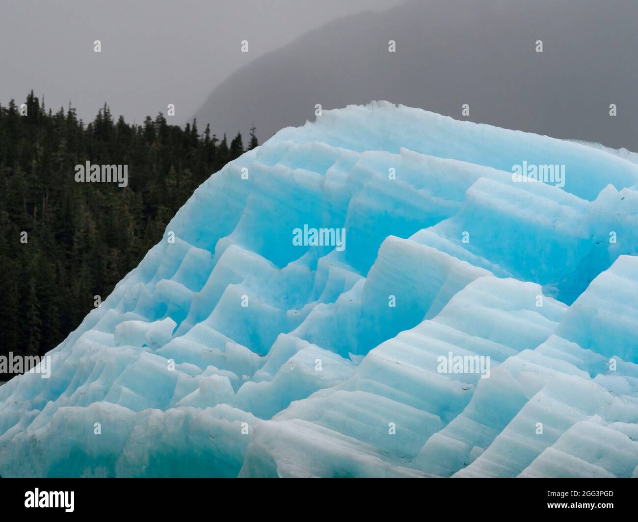 Eisberg vom LeConte Glacier, Alaska, USA Stockfoto