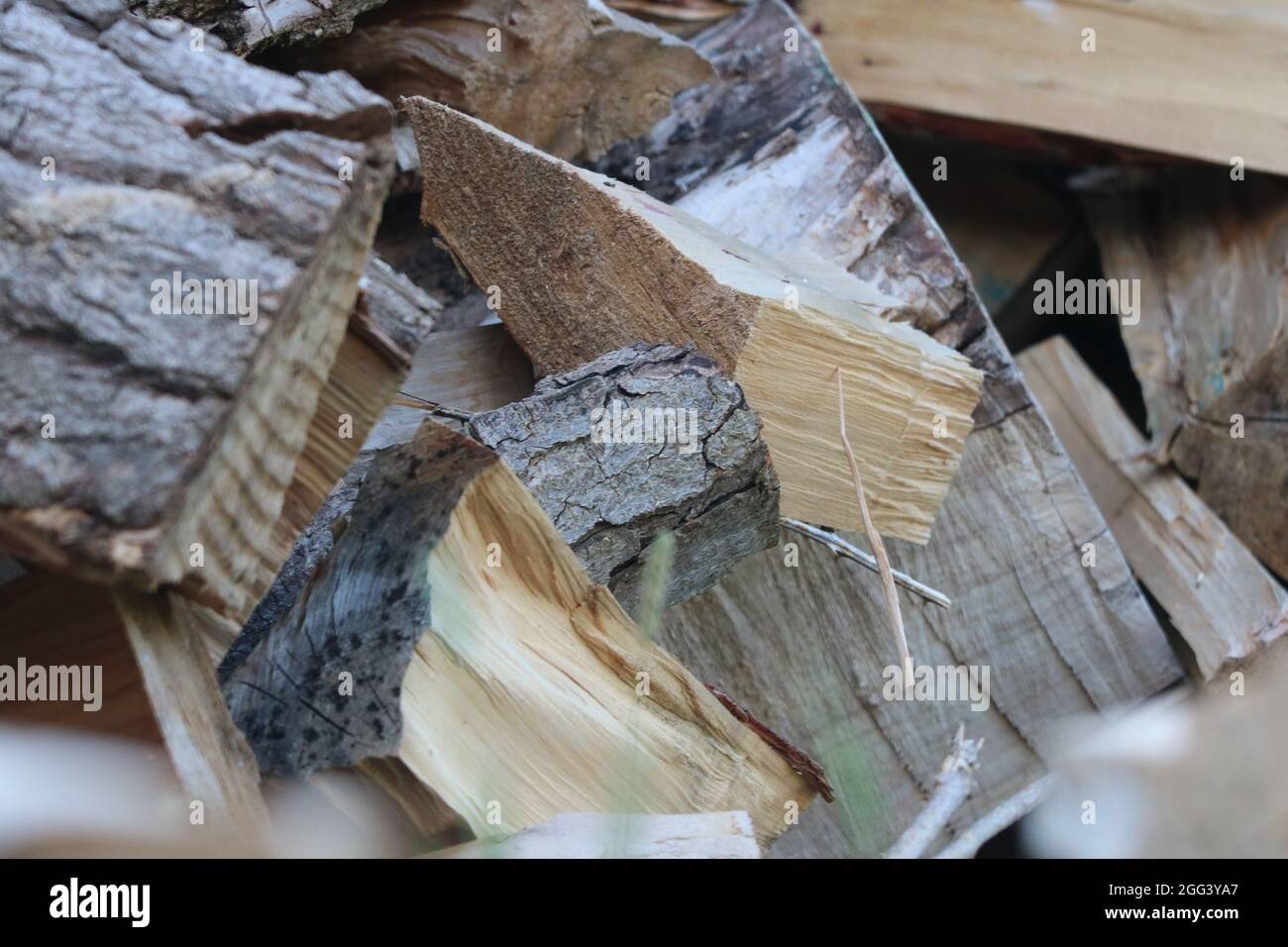Nahaufnahme des gehackten Holzes. Stockfoto