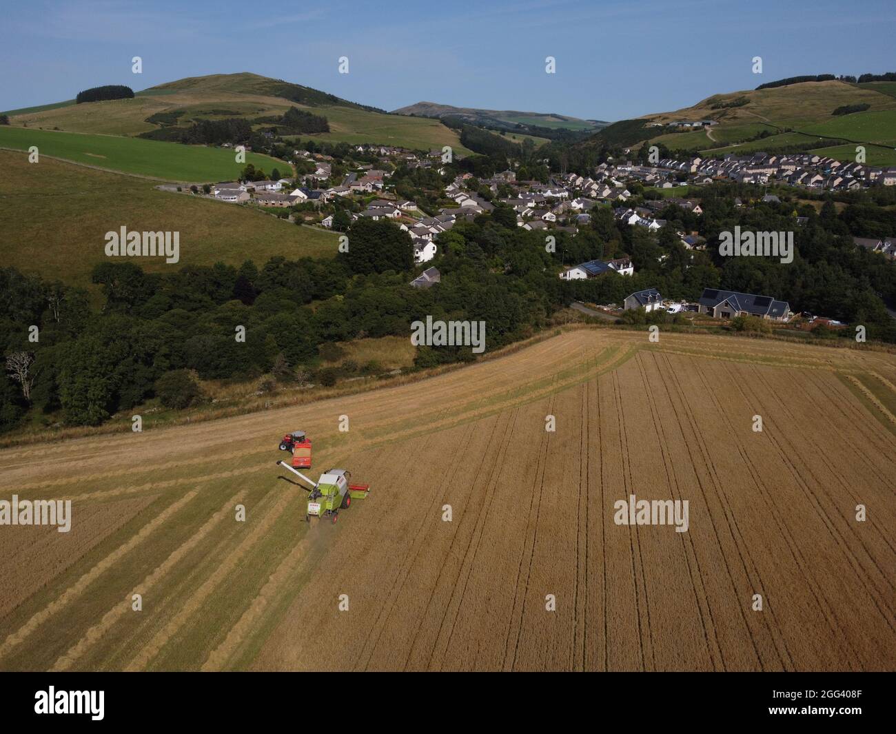 Galashiels, Großbritannien. August 2021. Caddonlee Farm, Clovenfords, Galashiels, Großbritannien Samstag, 28. August 2021. Die Bauern an den schottischen Grenzen hatten nach dem jüngsten trockenen Wetter eine Stoßzeit bei der Ernte. Die Prognose für weitere trockene Tage in der Zukunft verheißt gute Vorzeichen für die letzte Getreideernte, die noch zu ernten ist. ( Kredit: Rob Gray/Alamy Live News Stockfoto