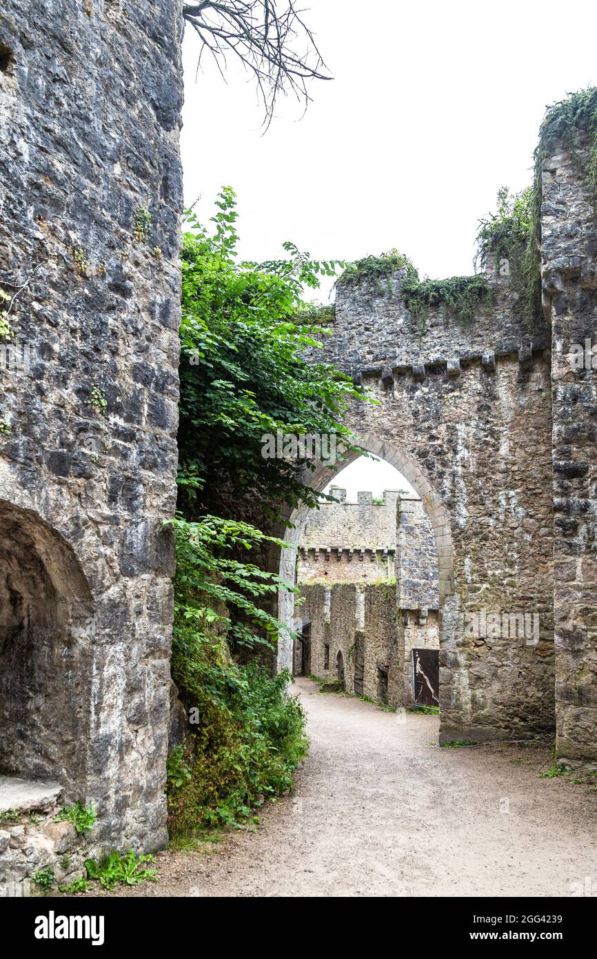 Überwuchert Ruinen des mittelalterlichen Stils Gwrych Castle erbaut im 19. Jahrhundert, Abergele, Wales, Großbritannien Stockfoto