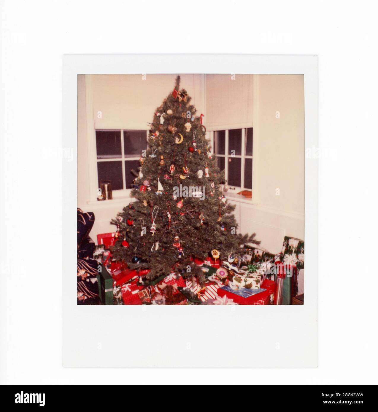 Polaroid-Momentaufnahme im Retro-Stil des 20. Jahrhunderts, USA Stockfoto