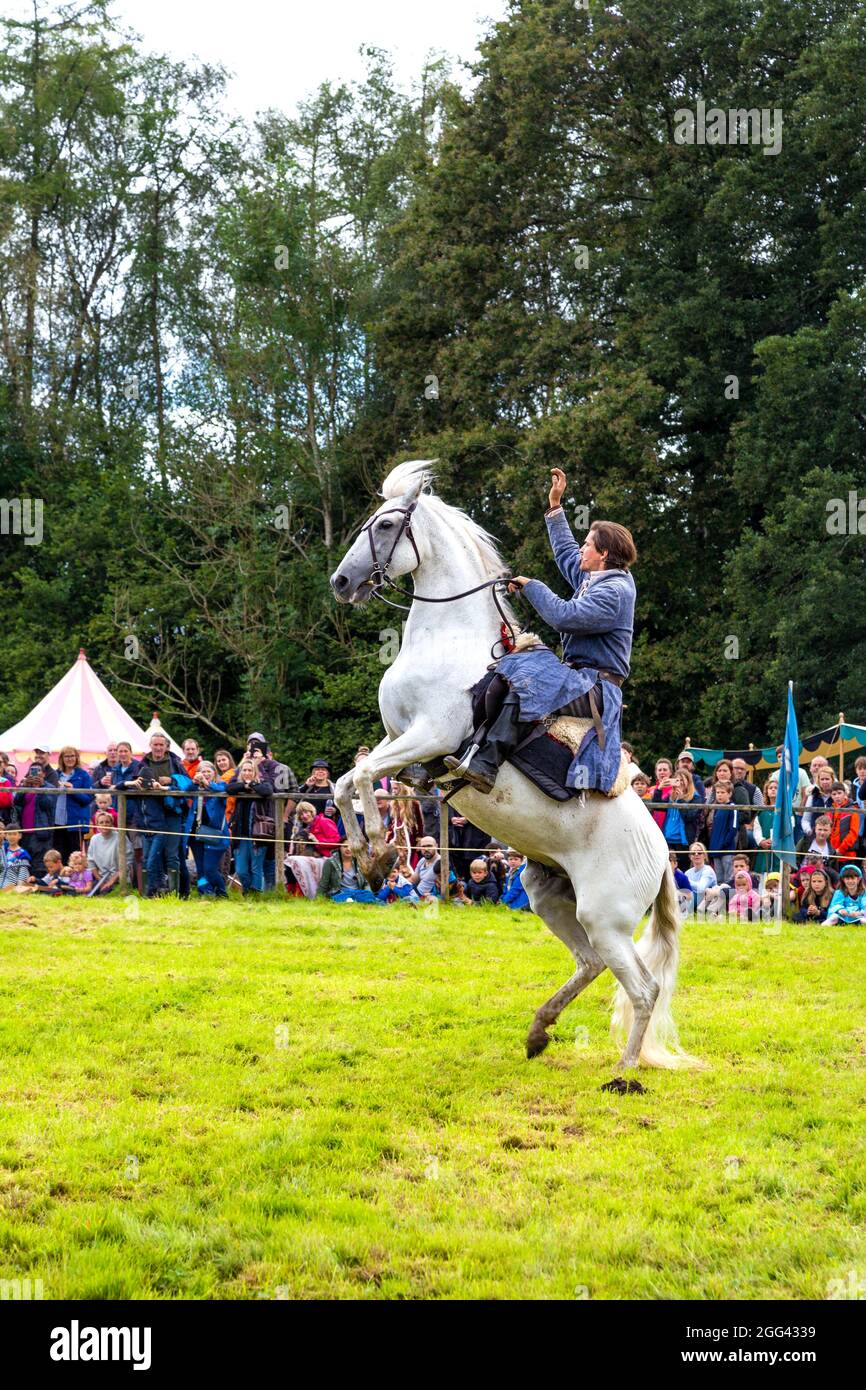 8. August 2021 - Gastgeber des Turnier auf einem aufzuchtenden Pferd beim Medieval Festival Loxwood Joust, West Sussex, England, Großbritannien Stockfoto