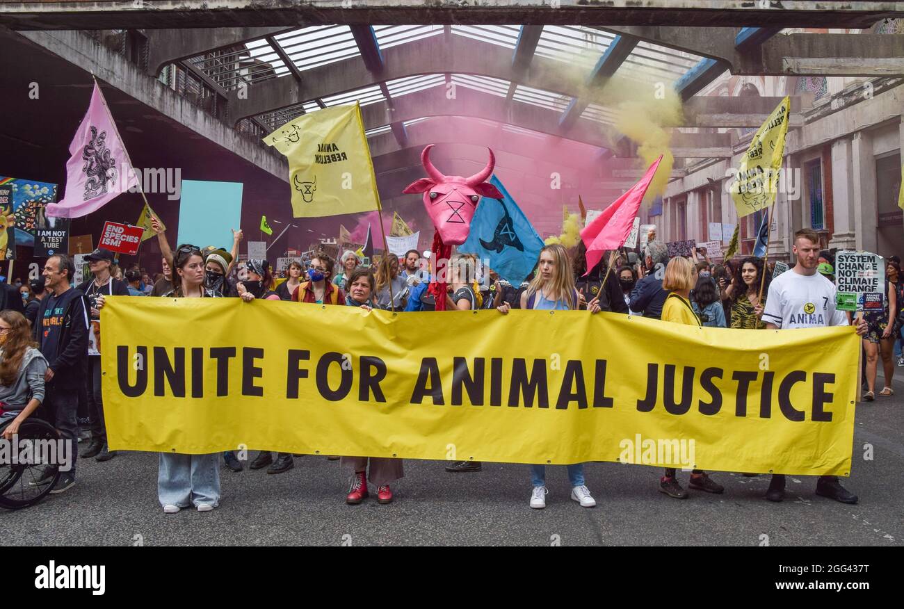 London, Großbritannien. August 2021. Aktivisten am Smithfield Market während des National Animal Rights March. Tierrechtler und Organisationen marschierten durch die City of London und forderten ein Ende aller Tierausbeutung. (Kredit: Vuk Valcic / Alamy Live News) Stockfoto