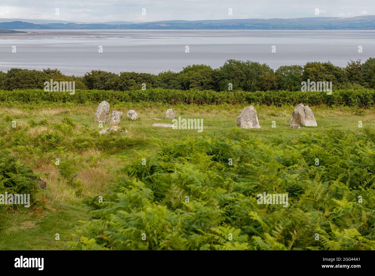 Blick auf die Leven-Mündung von oberhalb des Birkrigg Stone Circle in der Nähe von Bardsea auf der Furness Peninsula Stockfoto