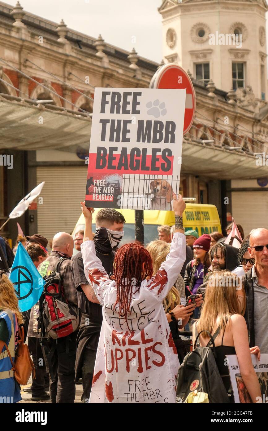 London, 27. August 2021: Rebellion des Aussterbens, protestmarsch der Tieraufstand beginnt am Smithfields Market in der City of London Stockfoto