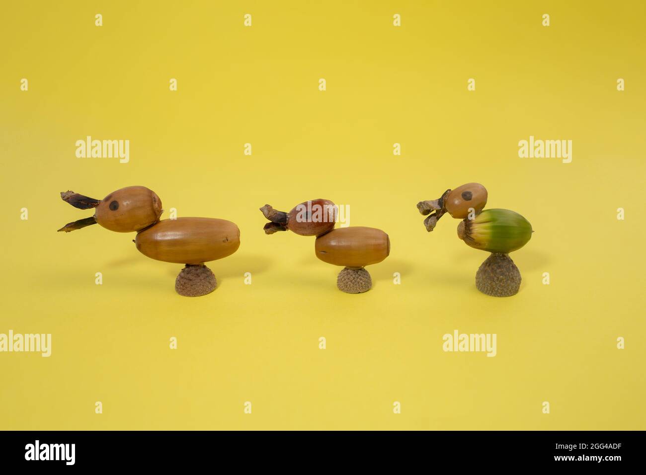 Abstrakte Enten aus Herbstakornen, Naturkunstprojekt für Kinder, DIY Stockfoto