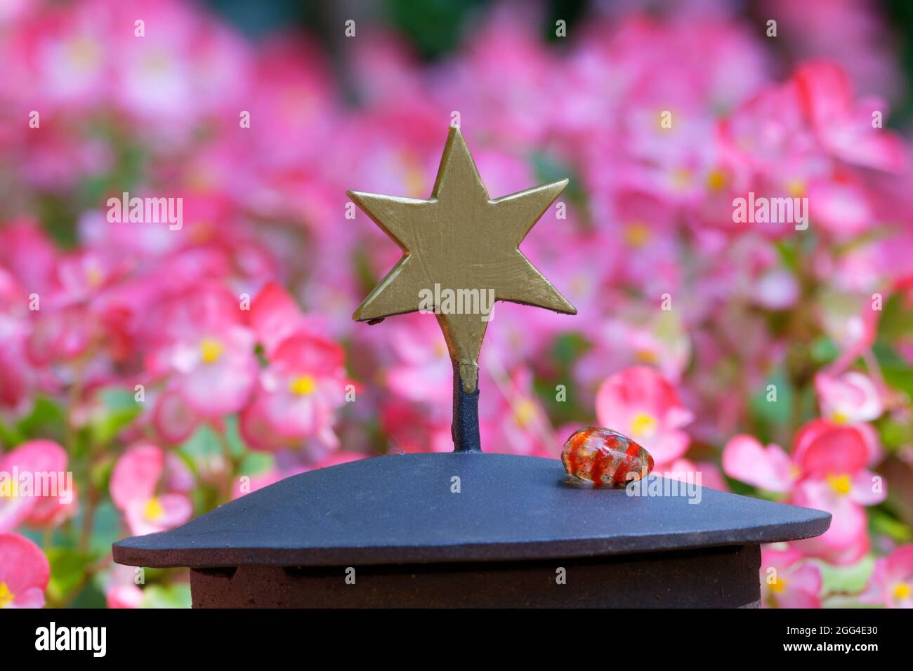 goldener Stern auf einer Grablampe vor rosa Blüten in verschwommenem Hintergrund Stockfoto