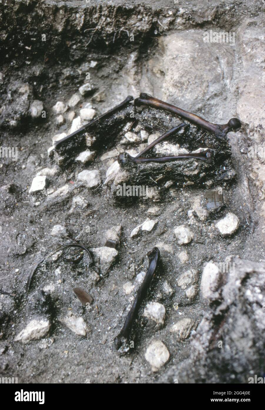 Menschliche Knochen und Keramikfragmente, die im Jahr 1967 im Opferhaus von Chichen Itza von der von Román Piña Chán überwachten Expedition entdeckt wurden Stockfoto