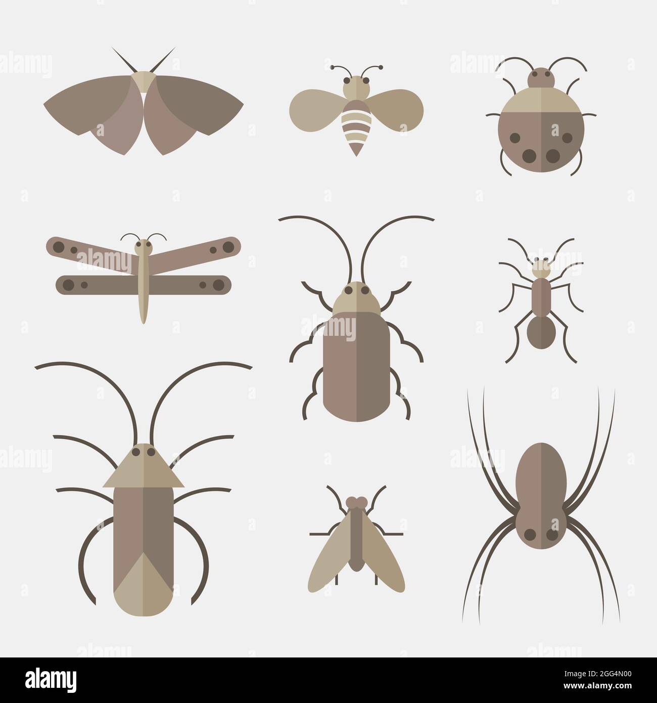 Vektor von Insekten Gruppe auf weißem Hintergrund. Insekt. Tier. Insektensymbol. Leicht editierbare Vektorgrafik mit Ebenen. Wilde Tiere. Stock Vektor