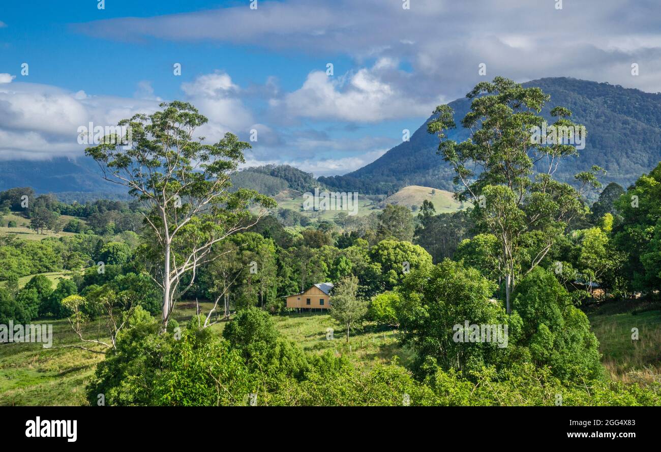 Idyllische ländliche Landschaft in Nimbin in der Northern-Runs-Region von New South Wales, Australien Stockfoto