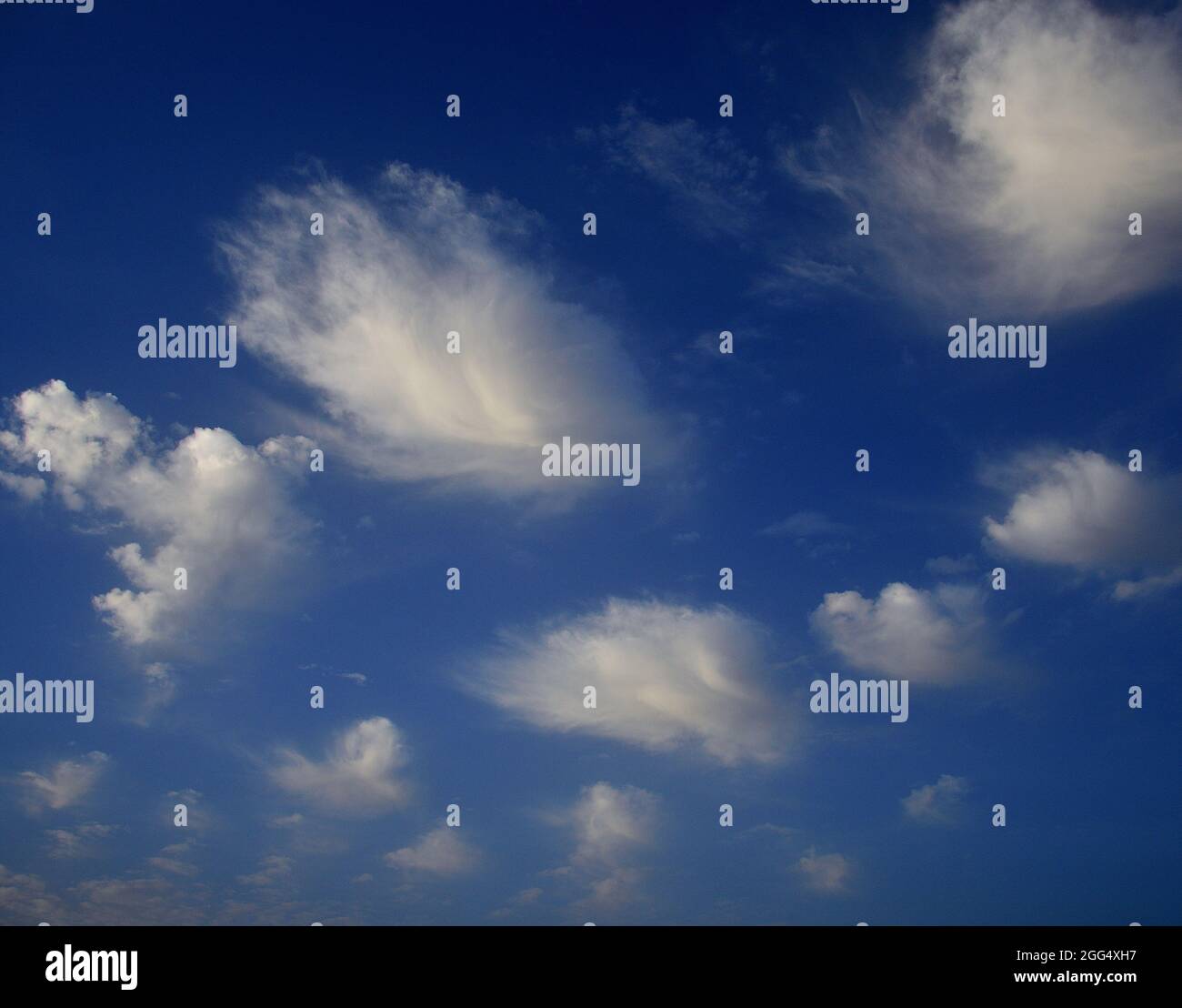 Weiße Wolken in der Morgendämmerung mit einem intensiven blauen Himmel im Hintergrund Stockfoto