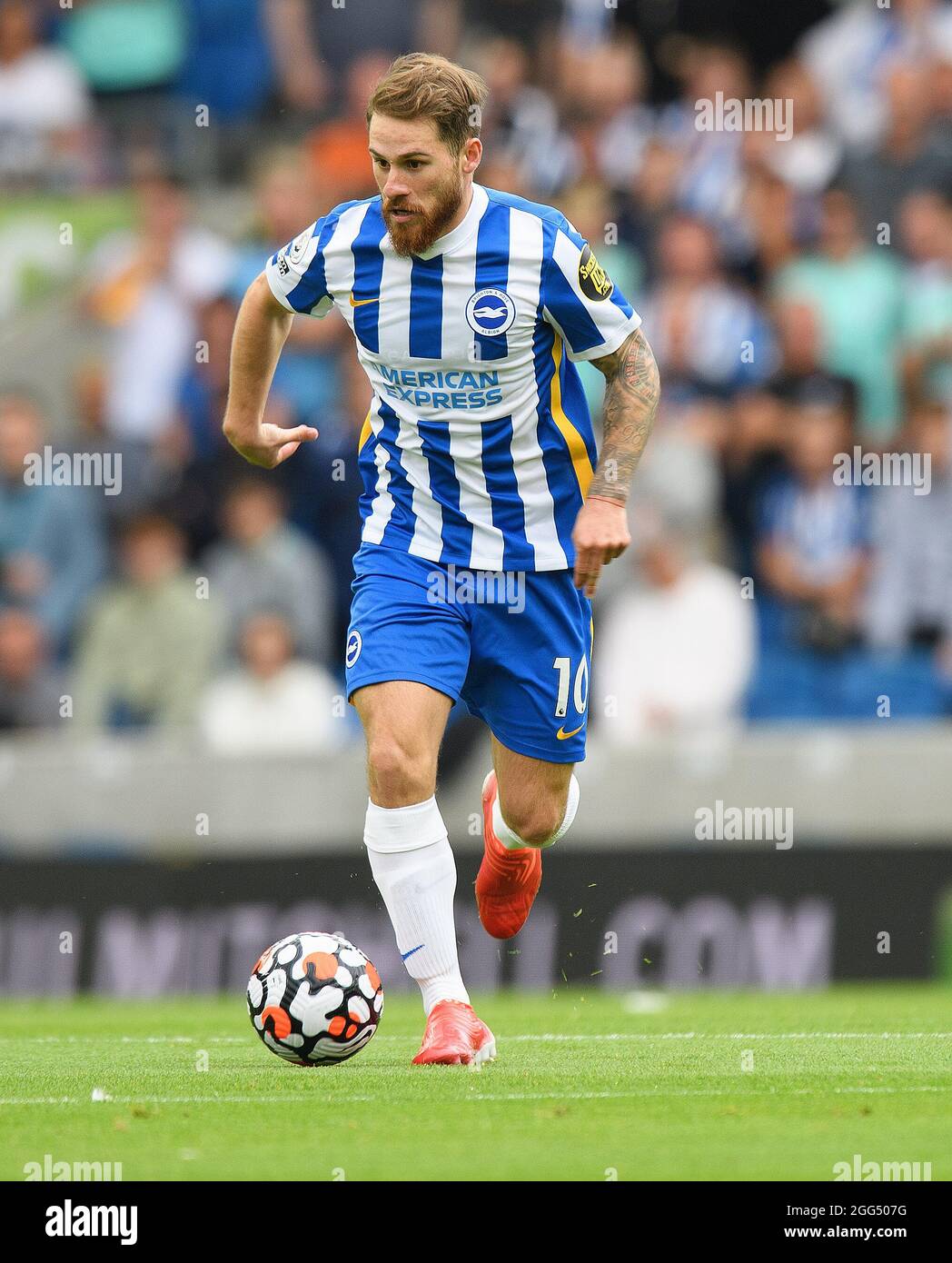 28. August 2021 - Brighton & Hove Albion gegen Everton - Premier League Alexis Mac Allister während des Premier League-Spiels im Amex Stadium, Brighton. Bildnachweis : © Mark Pain / Alamy Live News Stockfoto