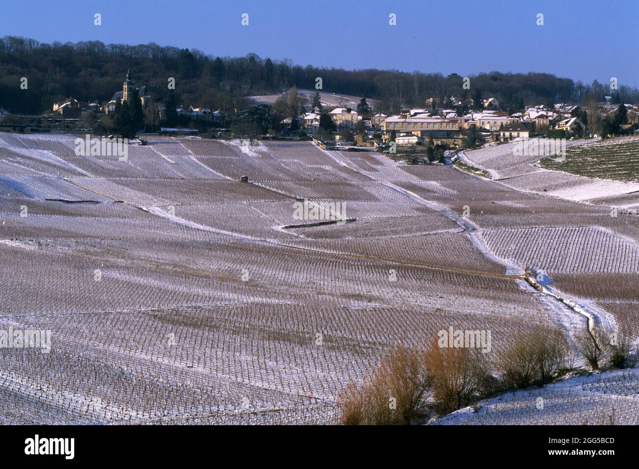 FRANKREICH. FRANKREICH. MARNE (51) DORF HAUTVILLERS Stockfoto