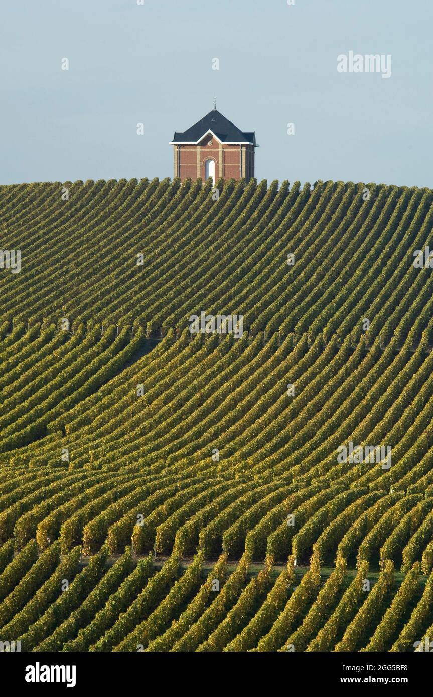 FRANKREICH. FRANKREICH. MARNE (51) DIE STRASSE DES CHAMPAGNERS (COTE DES BLANCS) Stockfoto