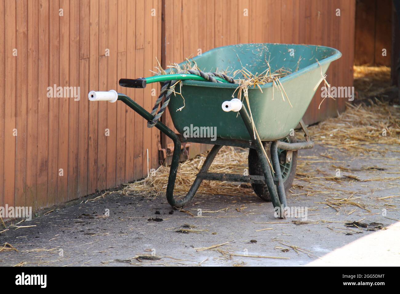 Eine ausmuckende Schubkarre in einem Reitstall. Stockfoto