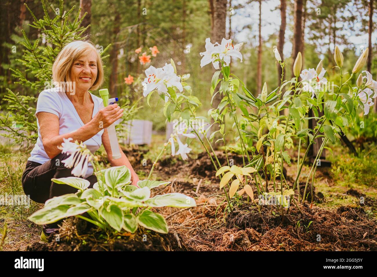 Ältere ältere Gärtner Landwirtin Pflege Blumen im Sommergarten auf dem